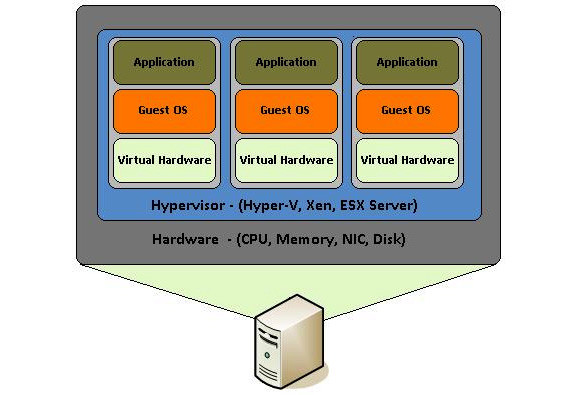 Figure 1.4 – Hardware virtualization 