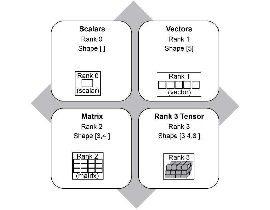 Figure 1.11: Examples of Tensor rank and shape
