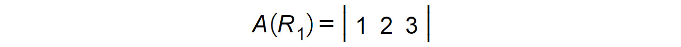 Figure 1.16: Matrix A(R1)

